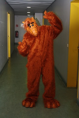 Bestes Kostüm Alf